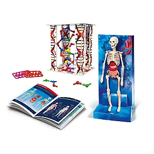 Clementoni Science&Play: Az emberi test