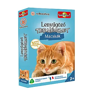 Lenyűgöző természet: Macskák